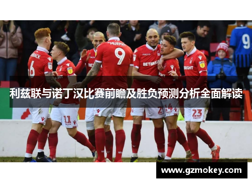 利兹联与诺丁汉比赛前瞻及胜负预测分析全面解读