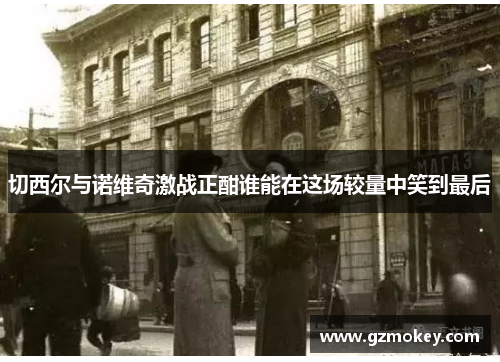切西尔与诺维奇激战正酣谁能在这场较量中笑到最后