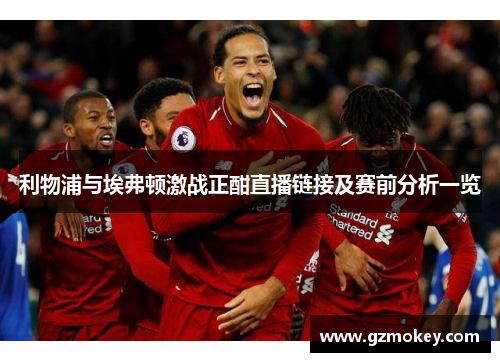 利物浦与埃弗顿激战正酣直播链接及赛前分析一览